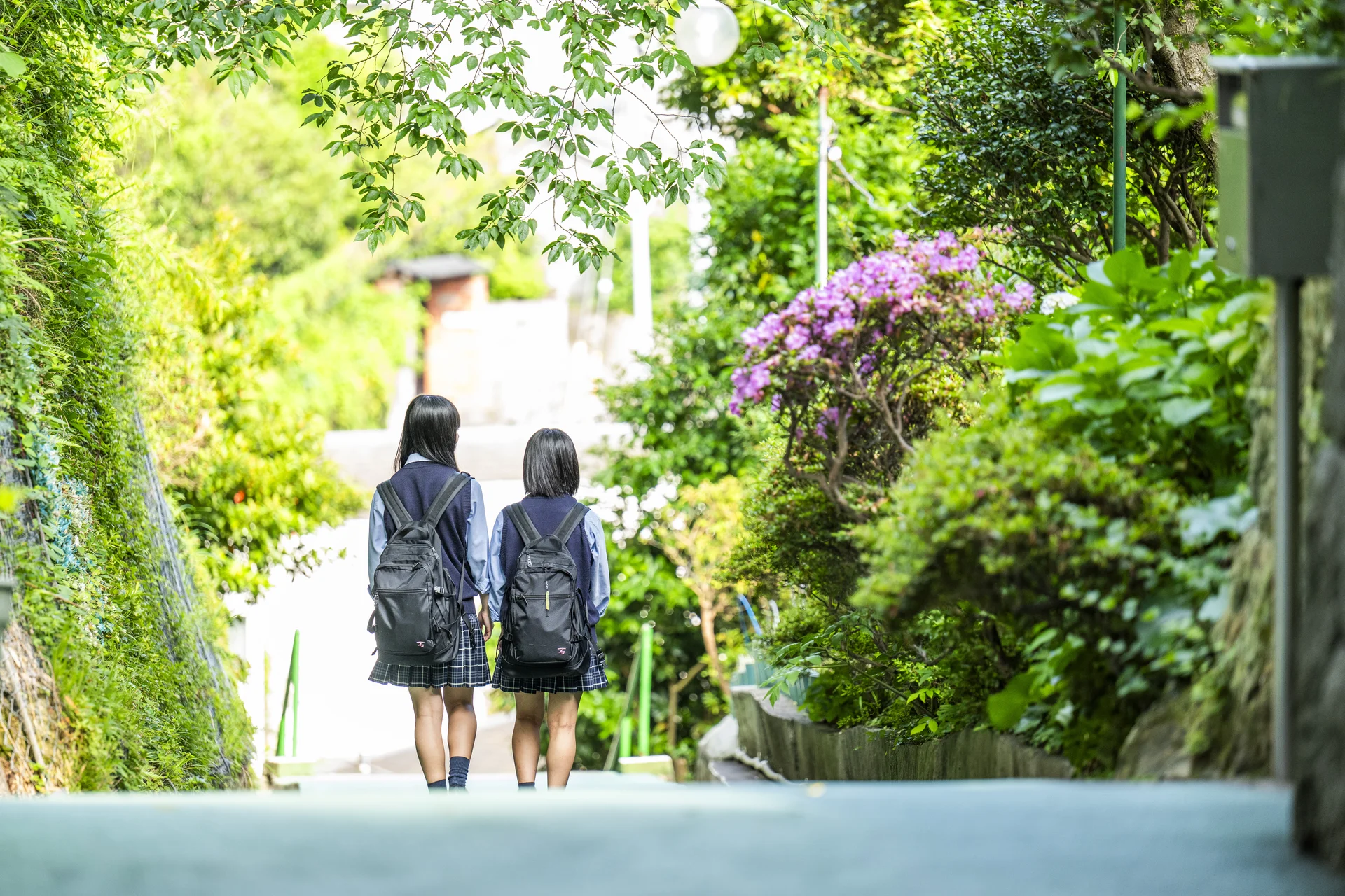緑ヶ丘女子高等学校の生徒